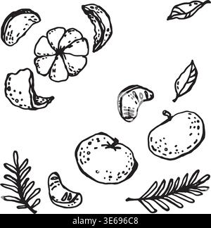 A stylized tangerines and with fir branches Stock Vector