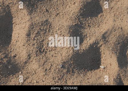 Subtle Soft Focus Beige Sand Texture Backdrop An Earthy Close-Up View of Dry Granular Particles Offering Natural Copy Space and Tactile Relief Stock Photo