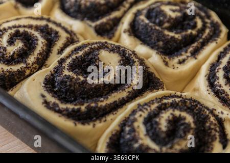 Close-up of raw sweet rolls with poppy seed filling before baking. Soft yeast dough texture and spiral pattern Stock Photo
