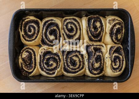 Raw yeast dough rolls with poppy seed filling arranged in a baking pan. Homemade pastry preparation before baking Stock Photo