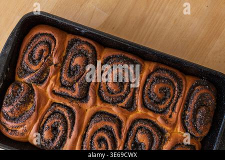 Freshly baked yeast rolls with poppy seed filling arranged in a pan. Warm tones and homemade baking atmosphere Stock Photo