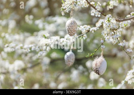 Easter eggs hanging on blooming white cherry tree Stock Photo