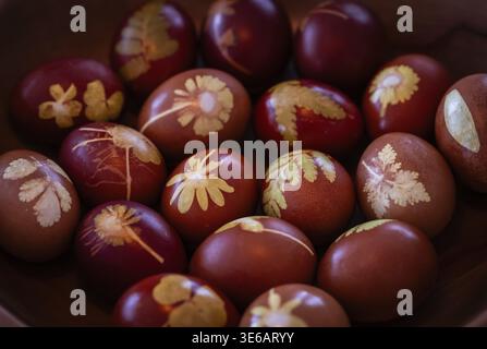 Easter eggs traditionally colored with onion skins, tights and small plants and flowers in a wooden bowl Stock Photo