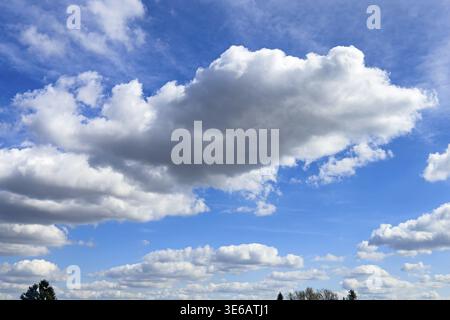White cumulus mediocris clouds cluster clouds cumulus clouds with dark underside against blue sky, international Stock Photo