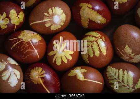 Easter eggs traditionally colored with onion peels, tights and small plants and flowers Stock Photo