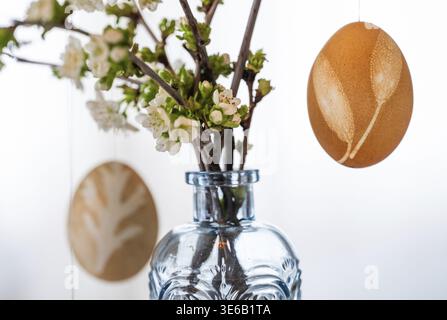Blown out Easter eggs, in the background a light blue vase with blossoming branches Stock Photo