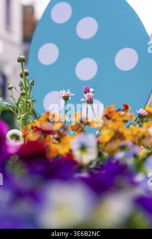 Colourful spring flowers in front of a big blue Easter egg with white spots in a cityscape, Nagold, Calw district, Germany Stock Photo