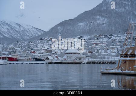 A serene winter scene in Tromsø, Norway, captures snow-covered houses nestled beneath quiet mountains along a calm harbor. Warm lights glow from homes Stock Photo