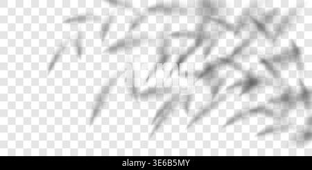 Bamboo spring shadow, plant leaf bg. Palm tree tropic overlay, light cast 3d gobo shade. Delicate summer branch, floral product wall studio. Tropical Stock Vector
