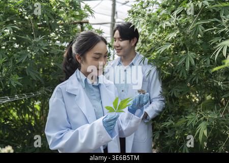 Agricultural scientists in a greenhouse examining plant samples, highlighting sustainable farming and modern agricultural research Stock Photo