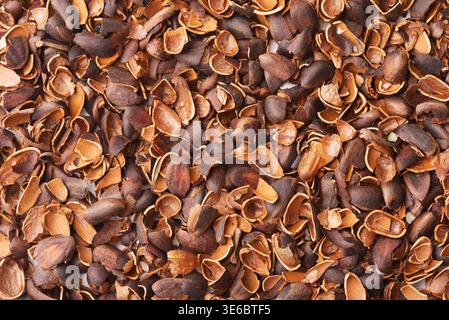 Top view of empty pine nut shells background Stock Photo