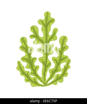 Tropical sea aquatic life green seaweed leaves Stock Vector
