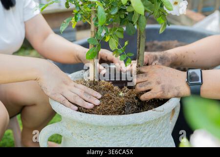 Young couple relax in the garden. They care plant and flower in a vintage white pot at home garden. Selective focus. Stock Photo