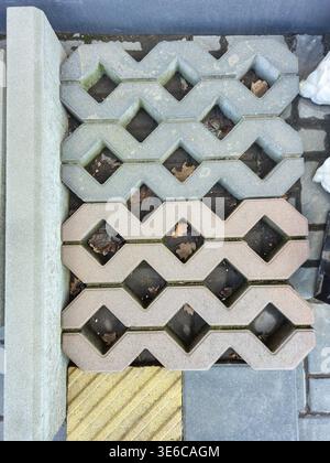 Permeable paving stones with diamond shapes and grass growing in the gaps Stock Photo