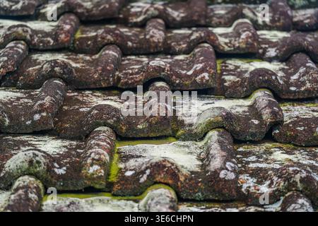 Aged Textured Terracotta Roof Tiles Stock Photo