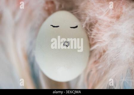Decorative egg featuring a simple face design placed on soft feathers, ideal for Easter or spring-themed decorations and creative projects Stock Photo