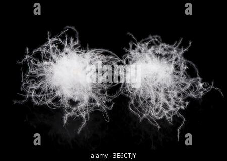 White fluffy goose down feathers resting on a black background Stock Photo