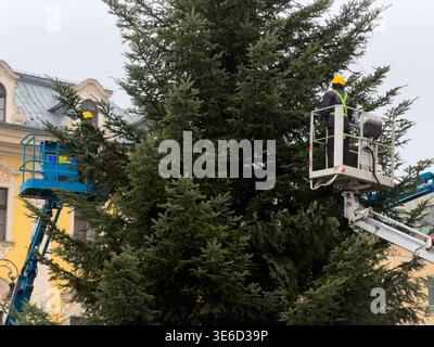 Workers on industrial lifts prepare a huge outdoor Christmas tree, carefully installing festive string lights in a city square for the upcoming holida Stock Photo