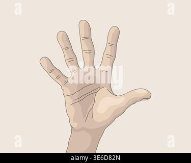 Hand Turned Palm Up Five Fingers Spread Apart Isolated Illustration. Outline Realistic Creamy Art Stock Vector