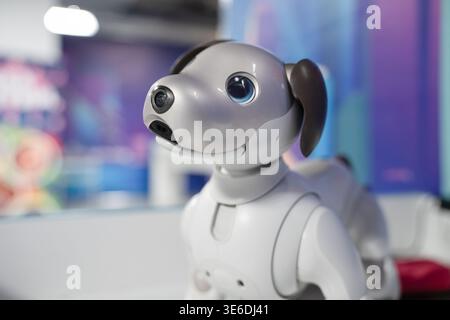 Vladikavkaz, Russia - April 06 , 2026 :  Close-up of a Sony Aibo robotic companion dog with expressive digital eyes and camera nose in a modern settin Stock Photo