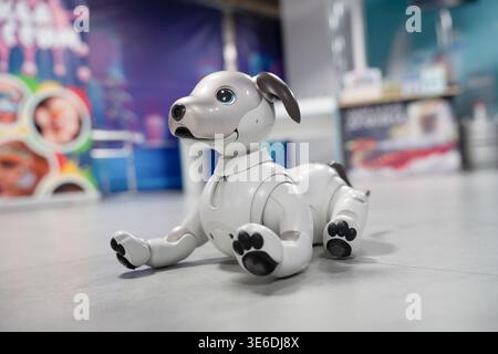Sony Aibo robotic pet dog in black and white with toy dog bone