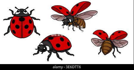 Set of isolated cute ladybug illustrations, one walking, two in flight, vector Stock Vector