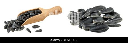 Sunflower seeds in wooden scoop isolated on white background Stock Photo