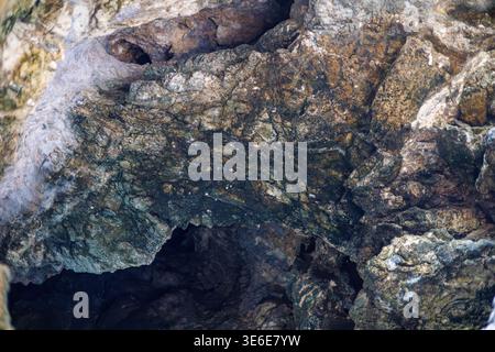 Close-up of weathered limestone rock texture. Stock Photo