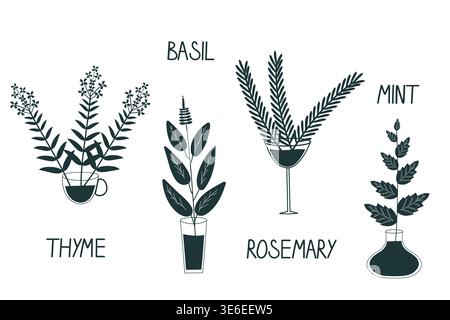 set of vector with plants and herbs in a minimalist flat style Stock Vector