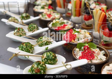 Assorted gourmet appetizers, vegetable sticks, and salads beautifully arranged on a banquet table for a catering event. Stock Photo