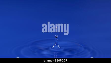 Water droplet falls into blue surface creating ripples and splashes in clear liquid Stock Photo