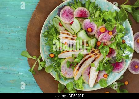 Grilled chicken salad with cucumber and watermelon radish Stock Photo