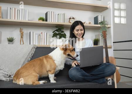 A young woman smiles as she works on her laptop, accompanied by her playful corgi in a cozy home setting, highlighting the joy of remote work and pet Stock Photo