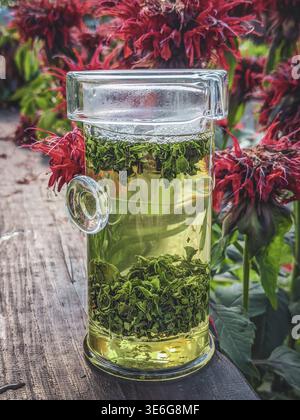 A vibrant glass of herbal tea is placed amidst blooming red flowers, perfectly embodying freshness and nature Stock Photo