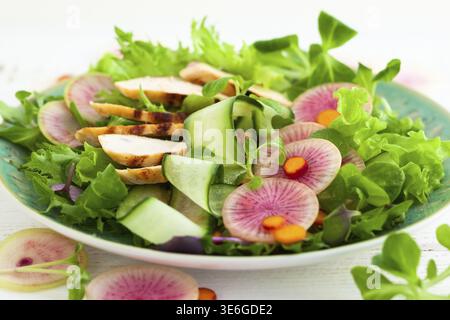 Grilled chicken salad with cucumber and watermelon radish Stock Photo