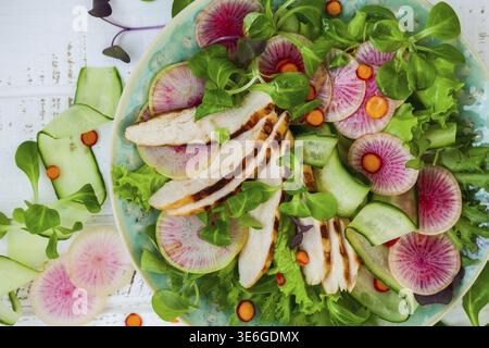 Grilled chicken salad with cucumber and watermelon radish Stock Photo