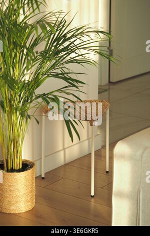 Indoor plant and small wicker stool by the wall Stock Photo