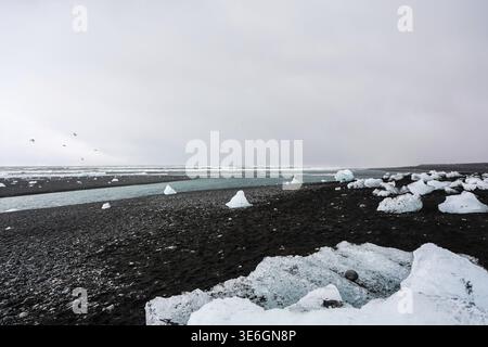 Icebergs from breidamerkurjokull glacier melting on the black sand beach of jokulsarlon glacier lagoon in iceland Stock Photo