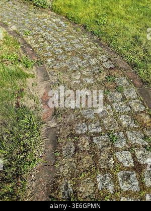 Cobblestone path with grass and moss growing in between the stones, creating a rustic and natural look Stock Photo