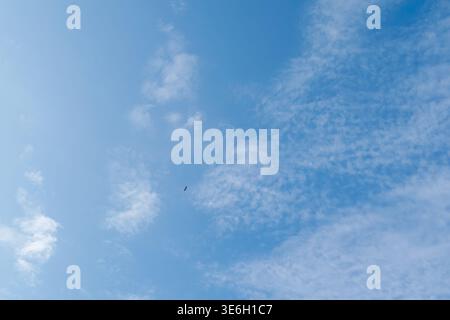 Wide blue sky with scattered soft clouds and a small bird in flight, perfect for freedom, calm weather, nature, and open space themes. Stock Photo
