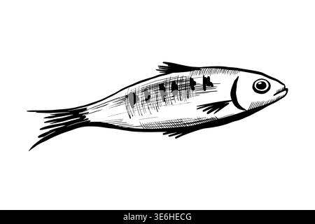 Sardine fish in minimalist black and white vector line art. Mediterranean seafood for healthy diet menu, canned food packaging, organic marine product Stock Vector