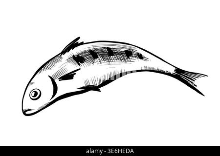 Sardine fish in minimalist black and white vector line art. Mediterranean seafood for healthy diet menu, canned food packaging, organic marine product Stock Vector