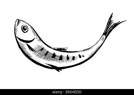 Sardine fish in minimalist black and white vector line art. Mediterranean seafood for healthy diet menu, canned food packaging, organic marine product Stock Vector
