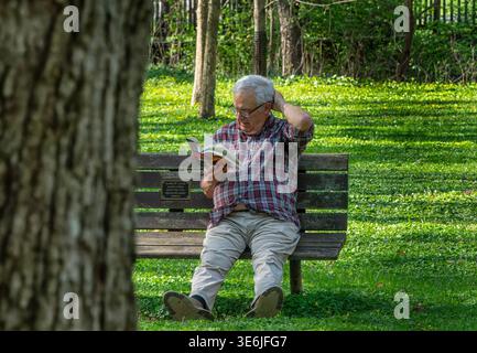 A man reading a book on a park bench Stock Photo