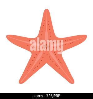 Red starfish illustration with five arms and textured surface, isolated on a white background, suitable for marine-themed designs and educational Stock Vector