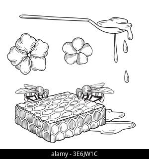 Hand-drawn graphic detailed illustrations, composition with honeycombs and bees, flowers and spoon with fresh honey for packaging Stock Vector