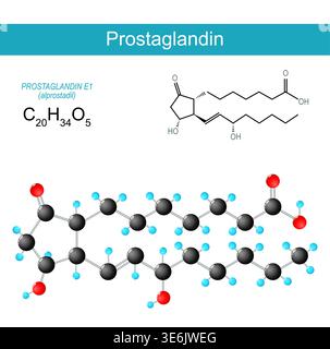 Prostaglandin molecule. Alprostadil molecular chemical structural formula and model. Vector illustration. Medical diagram Stock Vector