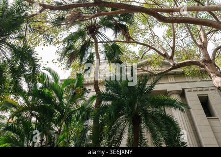 Taipei 228 Peace Park with palm trees in Taiwan Stock Photo