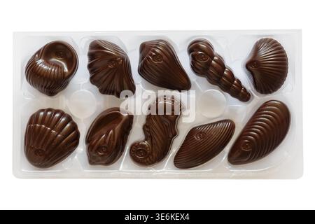 Guylian Belgian dark praline seashells chocolates isolated on white background - finest Belgian chocolates with hazelnut praline filling Stock Photo