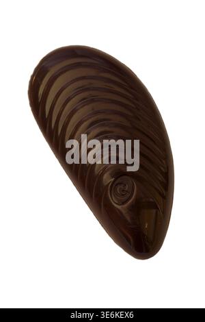Guylian Belgian dark praline seashells chocolates isolated on white background - finest Belgian chocolates with hazelnut praline filling Stock Photo